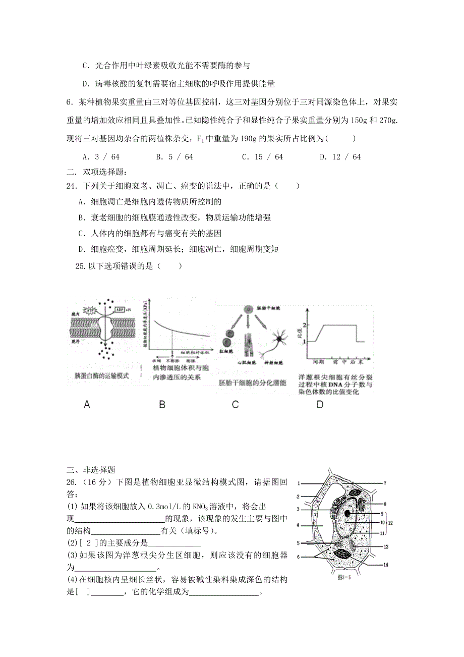 广东省普宁市华美实验学校2014-2015学年高二6月月考生物试题 WORD版含答案.doc_第2页