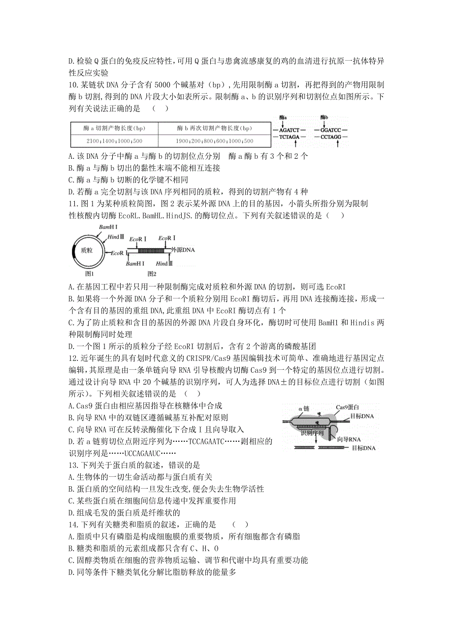 山东省济宁市泗水县2020-2021学年高二生物下学期期中试题.doc_第3页