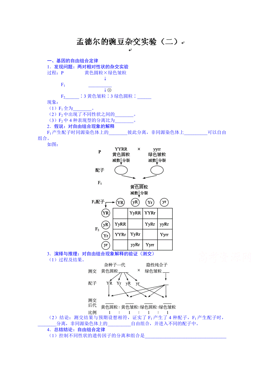 山东省济宁市生物高考总复习：2-3孟德尔的豌豆杂交实验（2） WORD版含答案.doc_第1页