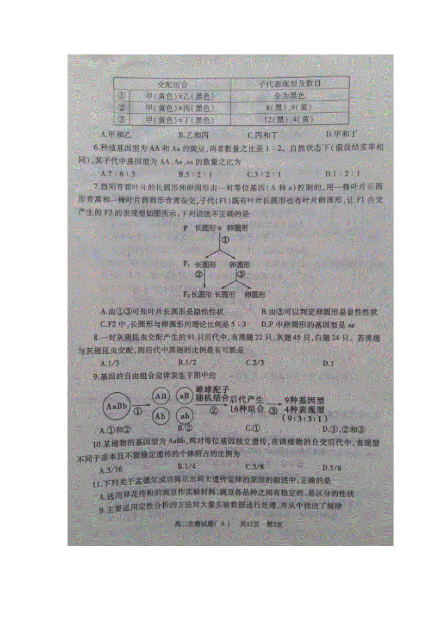 山东省济宁市第一中学2015-2016学年高二上学期期中考试生物试题 扫描版含答案.doc_第2页