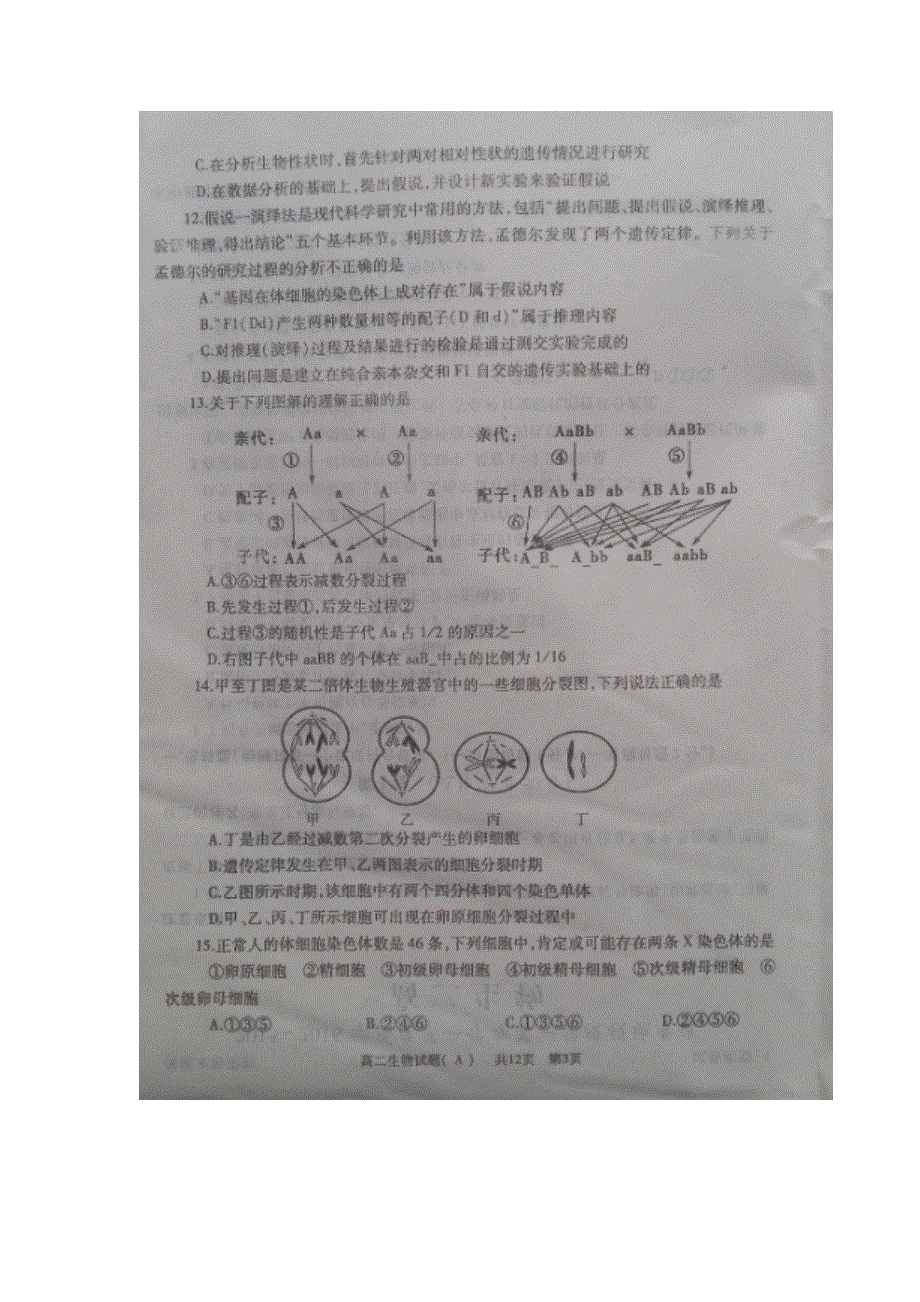 山东省济宁市第一中学2015-2016学年高二上学期期中考试生物试题 扫描版含答案.doc_第3页