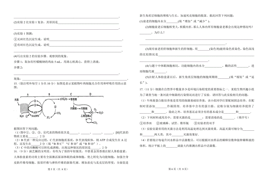 广东省普宁市华美实验学校2020-2021学年高二下学期第一次月考生物试题 WORD版含答案.doc_第3页