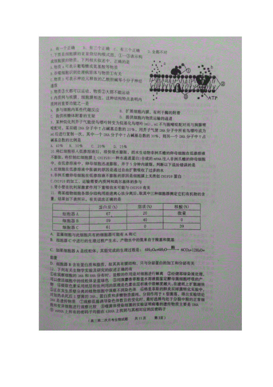 山东省济宁市第一中学2016届高三上学期期中考试生物试题 扫描版含答案.doc_第2页