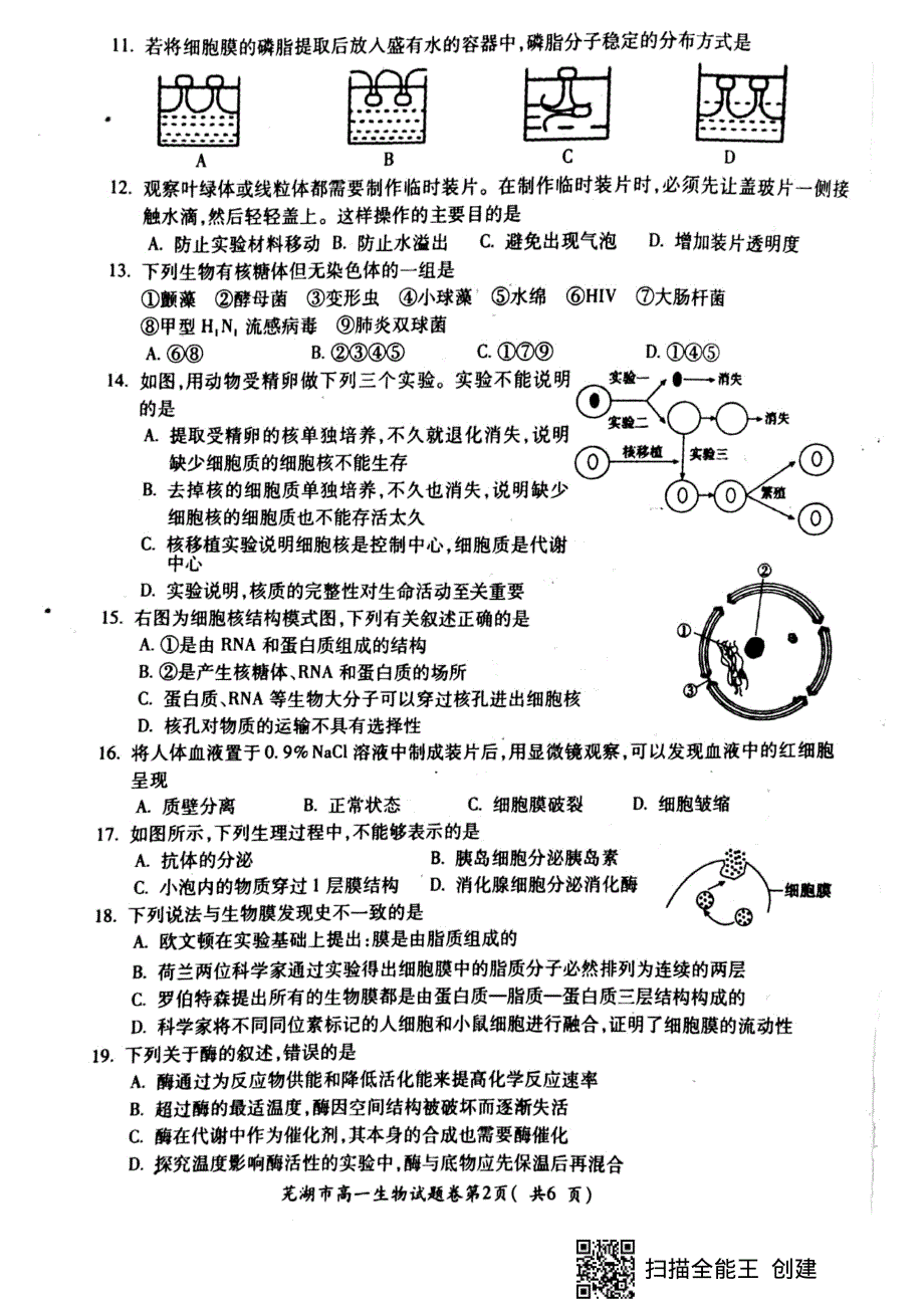 安徽省芜湖市2019-2020学年高一上学期期末考试生物试题 PDF版含答案.pdf_第2页