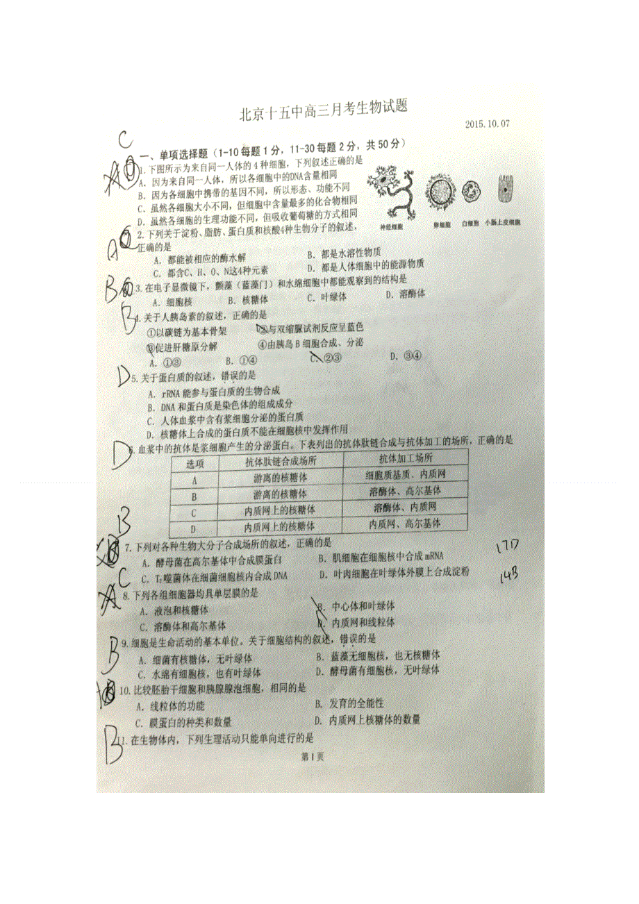 北京市十五中学2016届高三上学期10月月考生物试题 扫描版含答案.doc_第1页