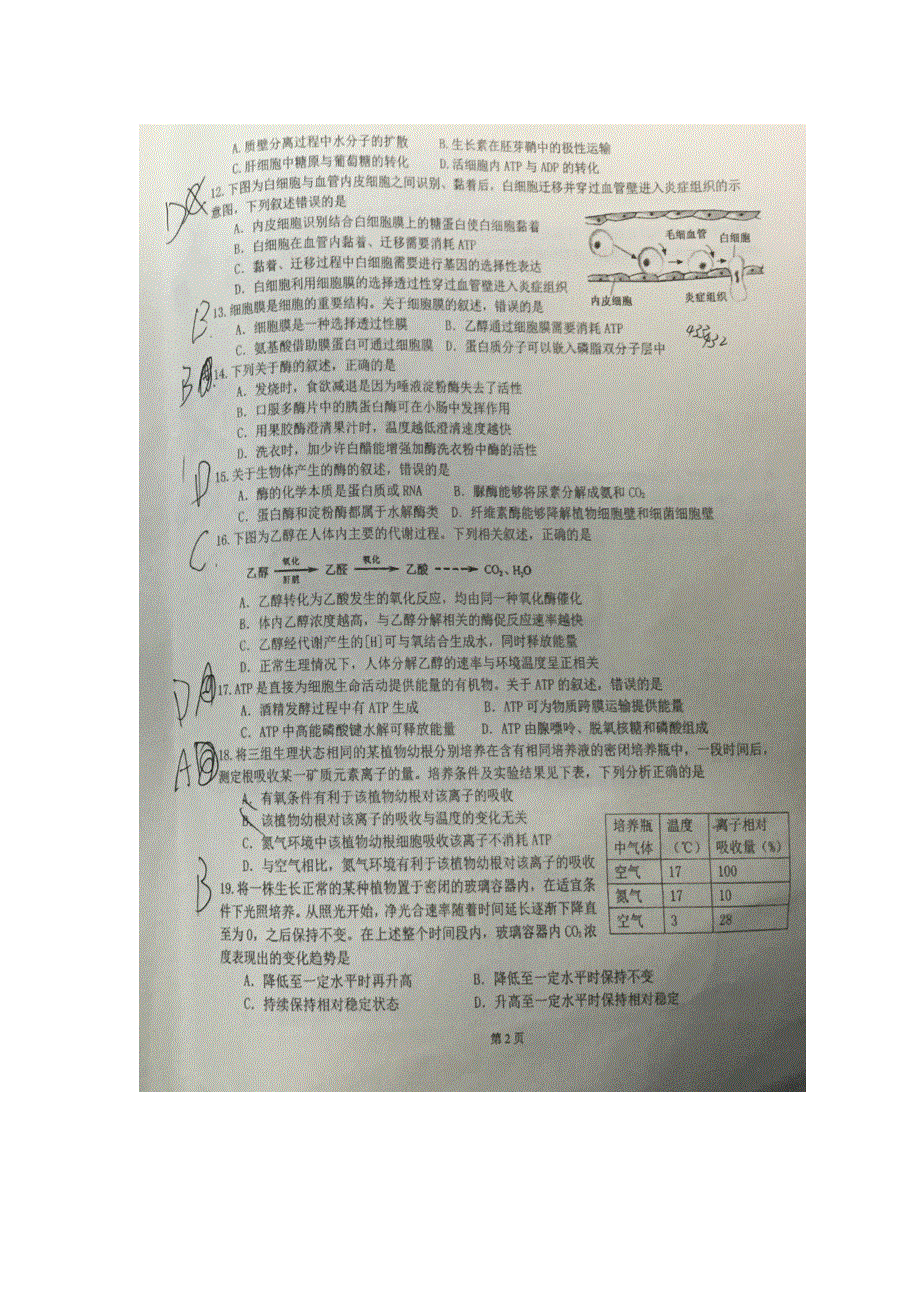 北京市十五中学2016届高三上学期10月月考生物试题 扫描版含答案.doc_第2页