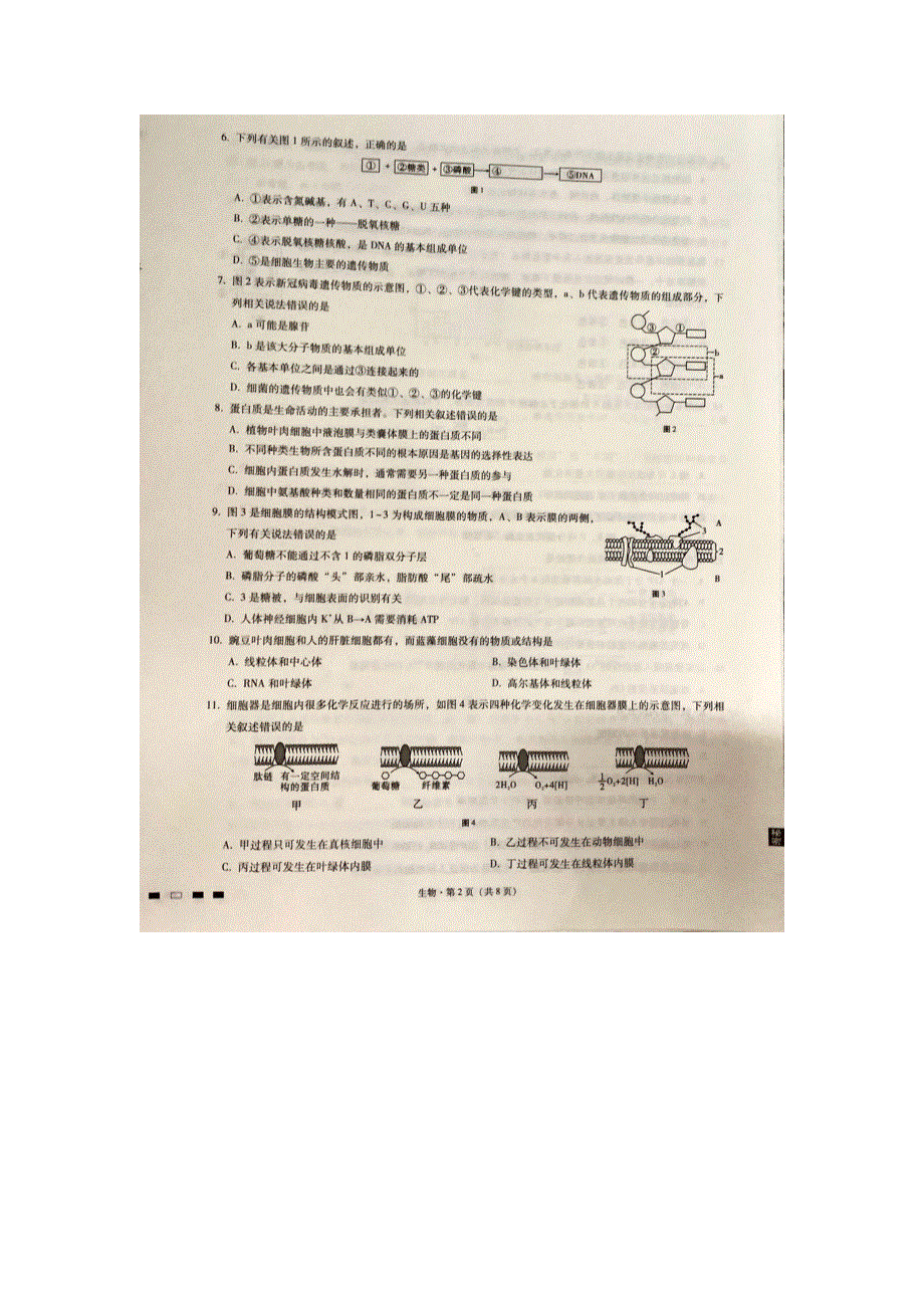 重庆市巴蜀中学2021届高三高考适应性月考卷（一）生物试题 图片版含答案.pdf_第2页