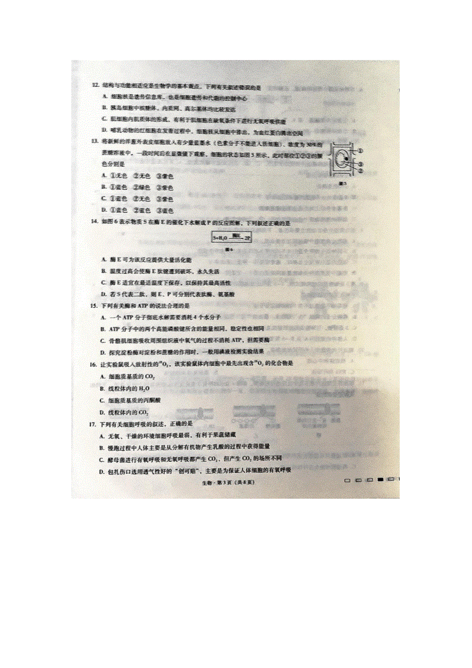 重庆市巴蜀中学2021届高三高考适应性月考卷（一）生物试题 图片版含答案.pdf_第3页