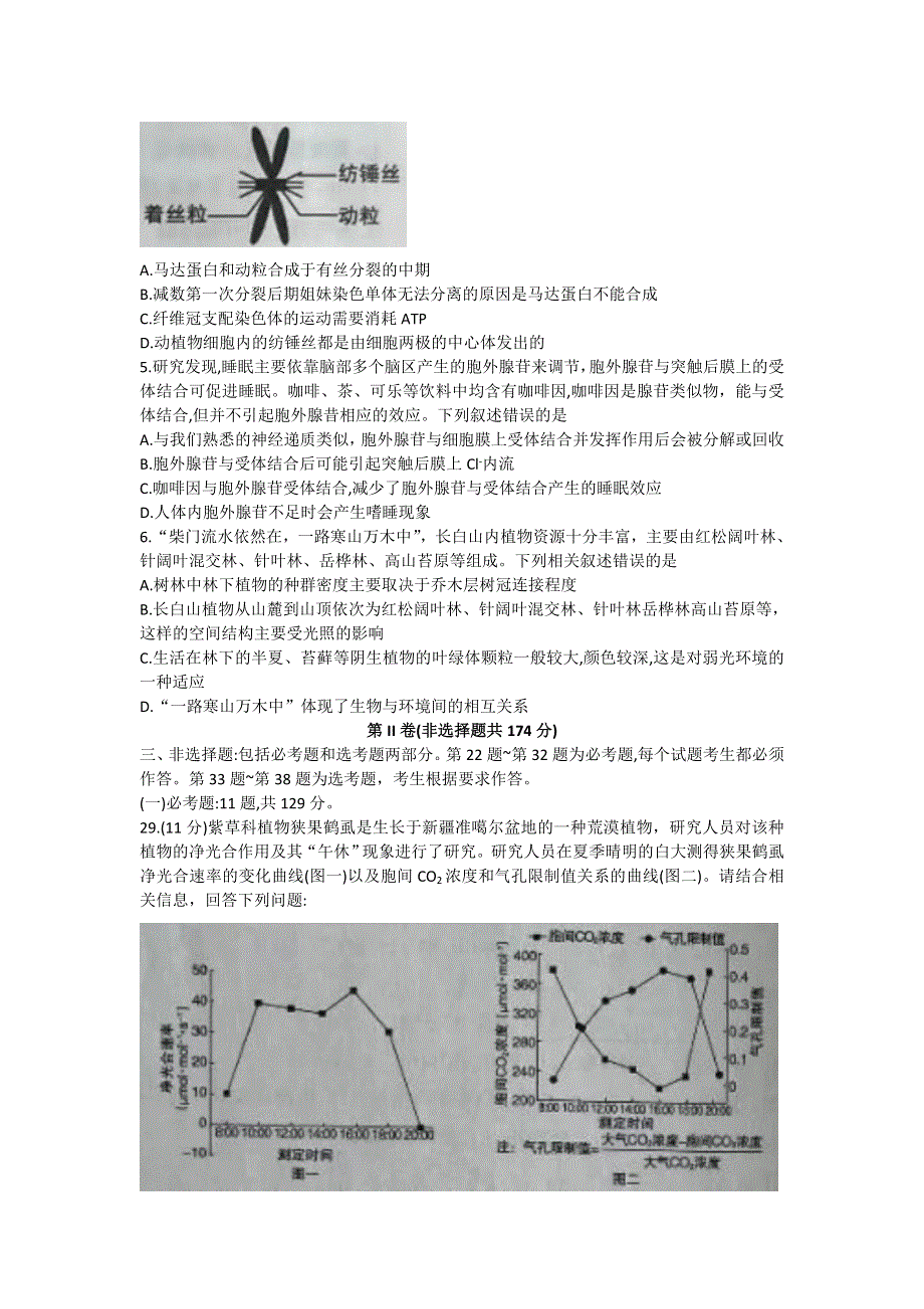 内蒙古呼和浩特市2022届高三下学期一模考试生物试题 WORD版含答案.doc_第2页