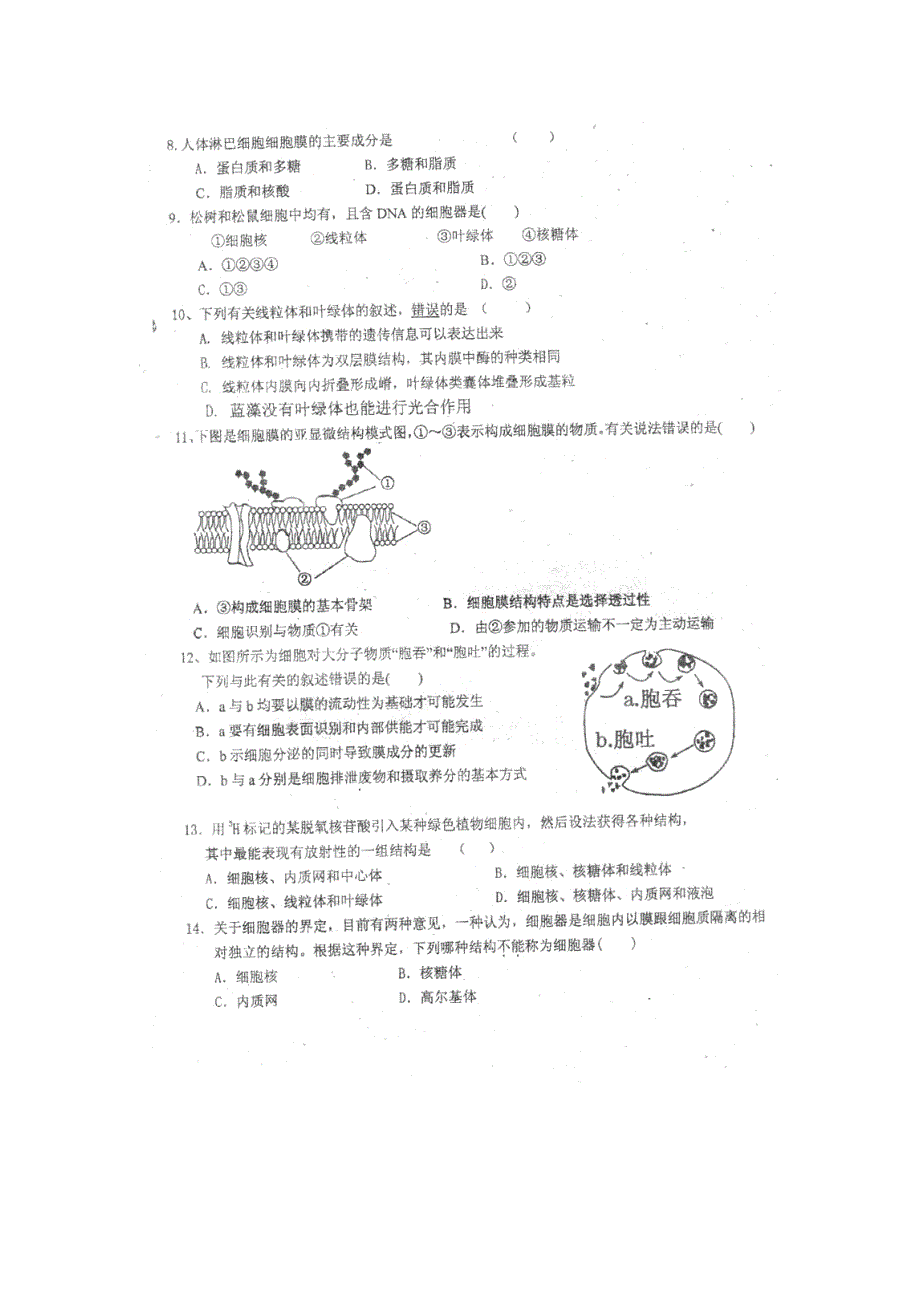 广东省普宁市英才中学2012-2013学年高一上学期第二次月考生物试题 扫描版含答案.doc_第2页