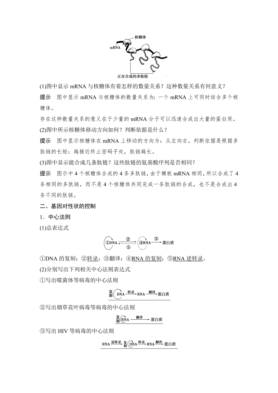 2016年高三生物（人教版）一轮复习 基础课时案20　基因控制蛋白质的合成及基因与性状的关系 基础回顾.doc_第3页