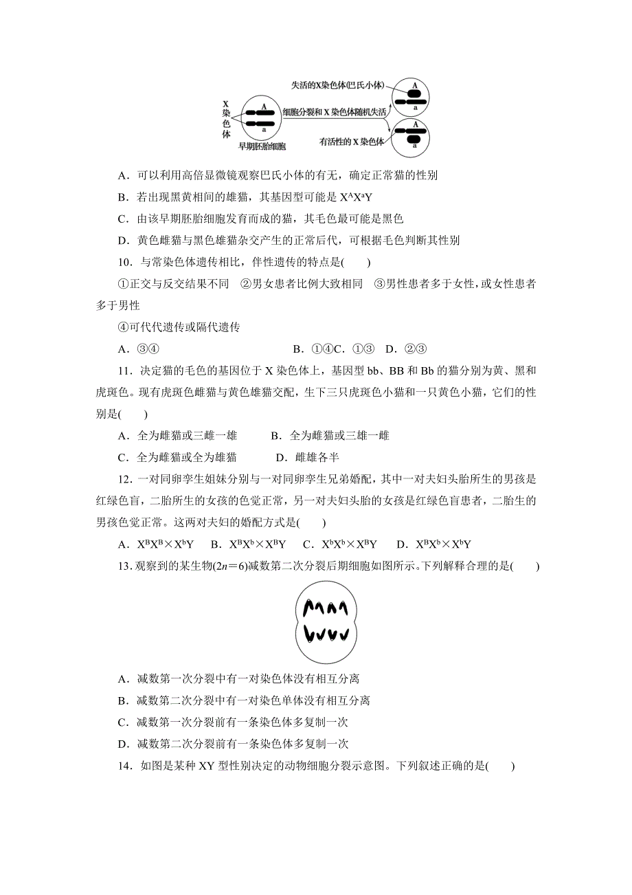 广东省普宁市华侨中学2016-2017学年高一下学期开学考试生物试题 WORD版含答案.doc_第3页