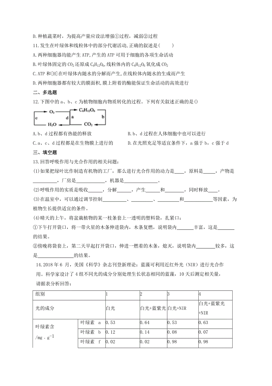 2022届新教材高考生物一轮复习 第三单元 细胞的能量供应和利用 第10讲 细胞呼吸与光合作用综合应用 基础训练B卷（含解析）.docx_第3页