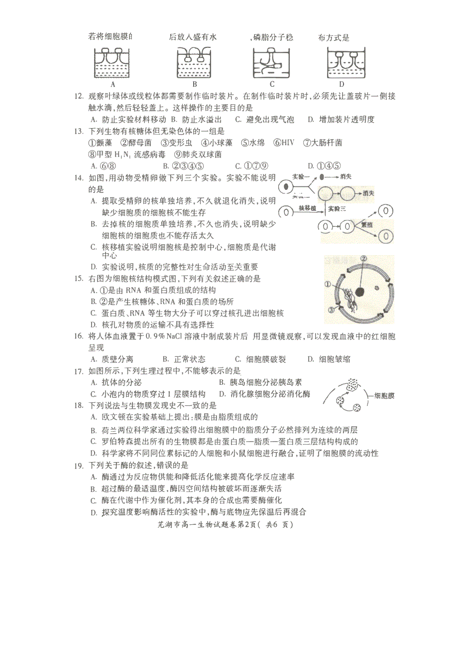 安徽省芜湖市城南实验学校2019-2020学年高一上学期期末考试生物试卷 PDF版含答案.pdf_第2页