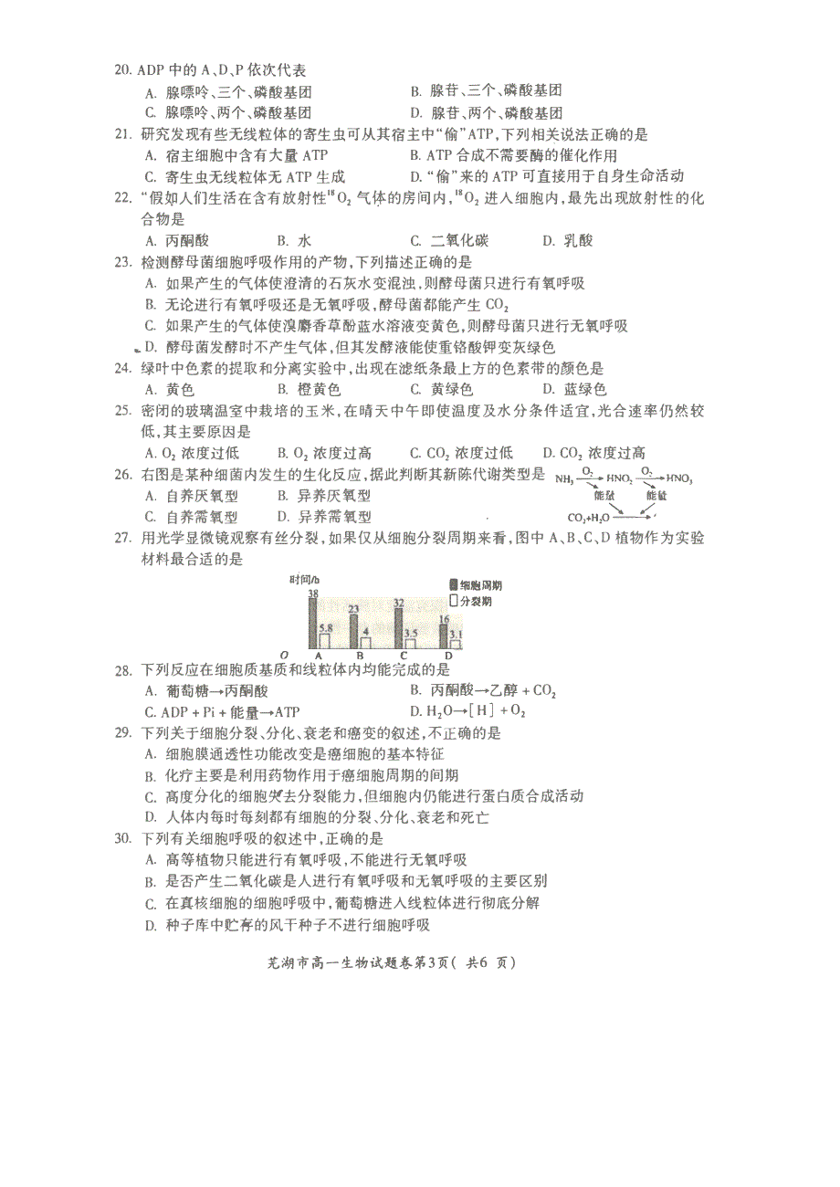 安徽省芜湖市城南实验学校2019-2020学年高一上学期期末考试生物试卷 PDF版含答案.pdf_第3页