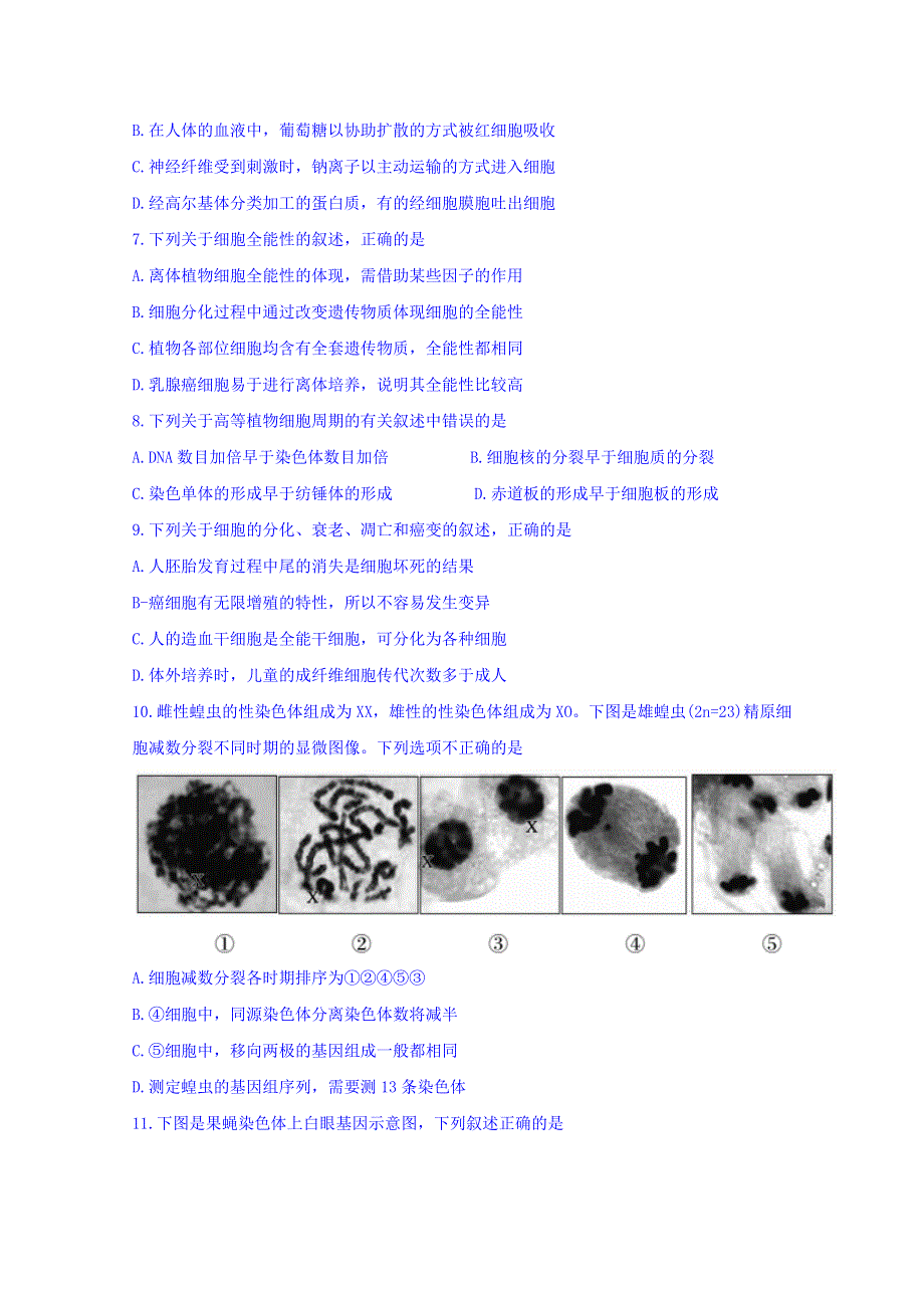 北京市大兴区2017届高三上学期期末考试生物试题 WORD版含答案.doc_第2页