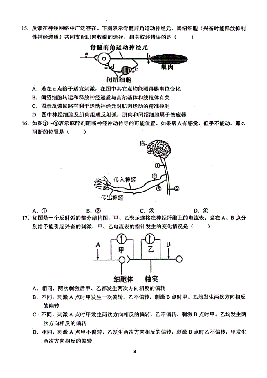 安徽省芜湖市第一中学2019-2020学年高二上学期期中考试生物试题 PDF版含答案.pdf_第3页