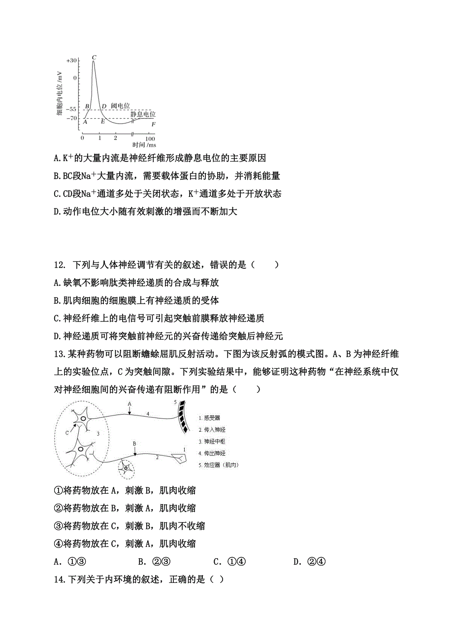 山东省济宁市鱼台县第一中学2020-2021学年高二上学期第一次月考（10月）生物试题 WORD版答案不全.doc_第3页