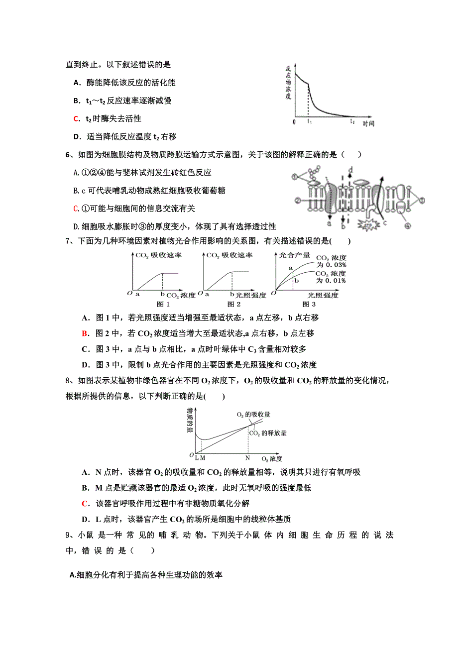 山东省济宁市鱼台县第一中学2020届高三上学期期中考试生物试题 WORD版含答案.doc_第2页