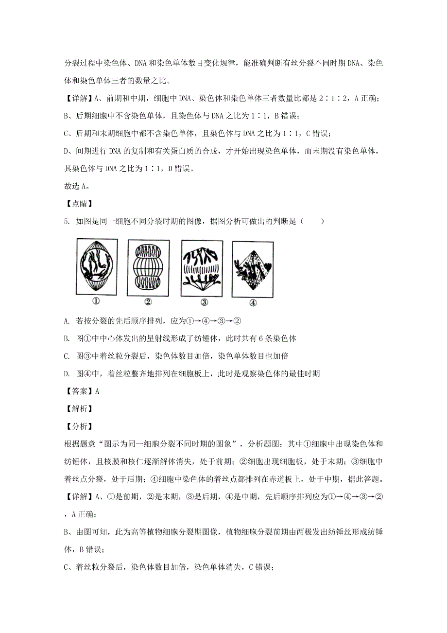 广东省梅州市2019-2020学年高一生物下学期期末考试试题（含解析）.doc_第3页