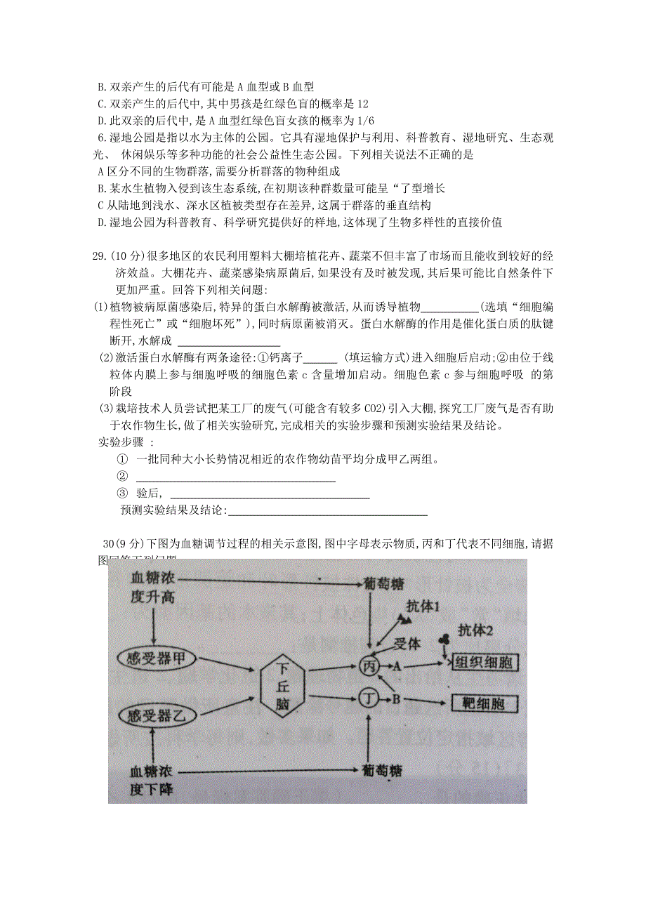 广东省梅州市2020届高三生物6月总复习质检试题（二）.doc_第2页