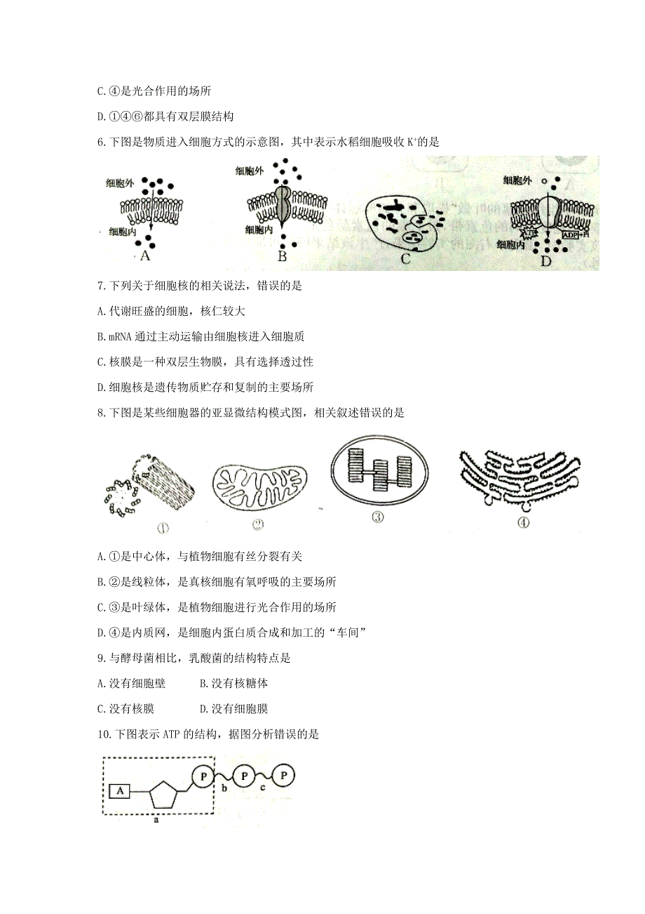 江苏2018年高二小高考模拟考试生物试卷（三） WORD版含答案.doc_第2页