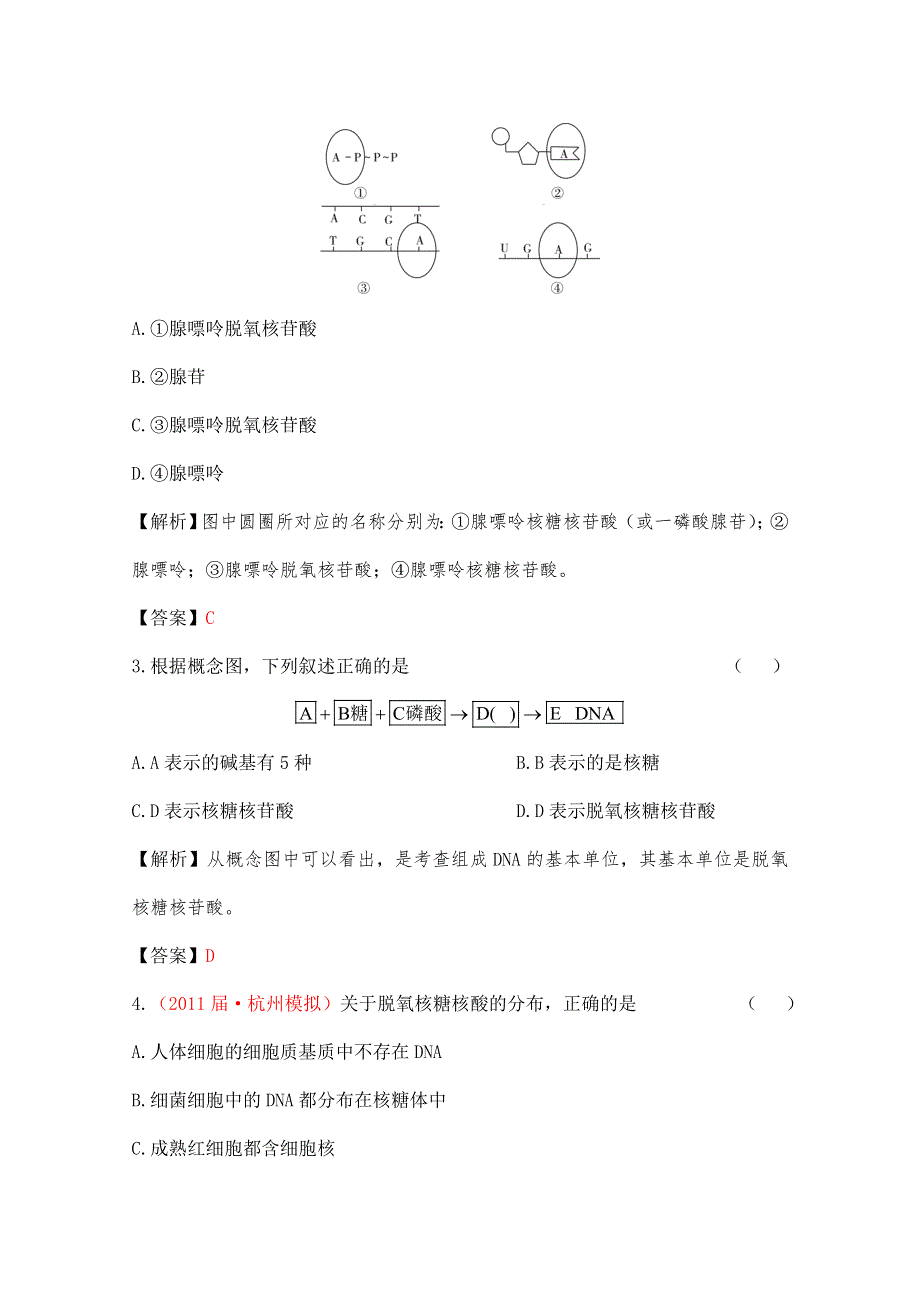 2012立体设计高三生物一轮复习课时练人教版：第二章 第3讲 遗传信息的携带者——核酸&细胞中的糖类和脂质.doc_第2页