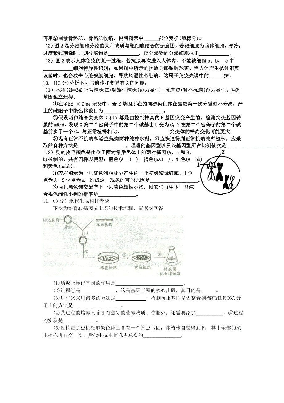 2012生物高考完全模拟（新课标全国卷）每周一练（一）.doc_第3页