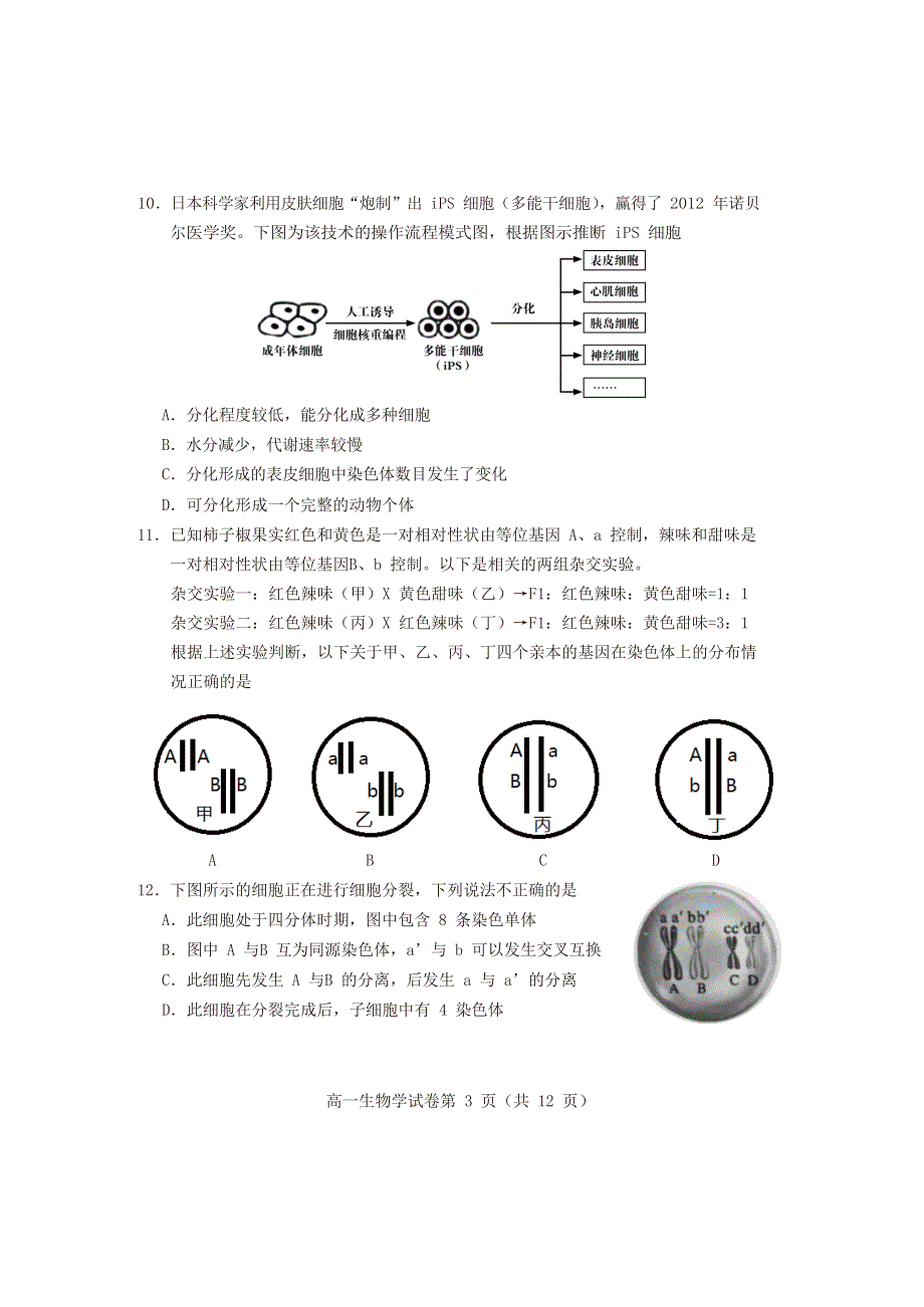 北京市房山区2019-2020学年高一生物下学期期末考试试题.doc_第3页