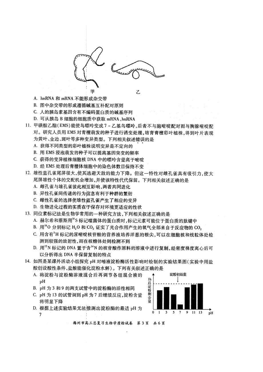 广东省梅州市2022届高三2月总复习质检（一模） 生物 PDF版含答案.pdf_第3页