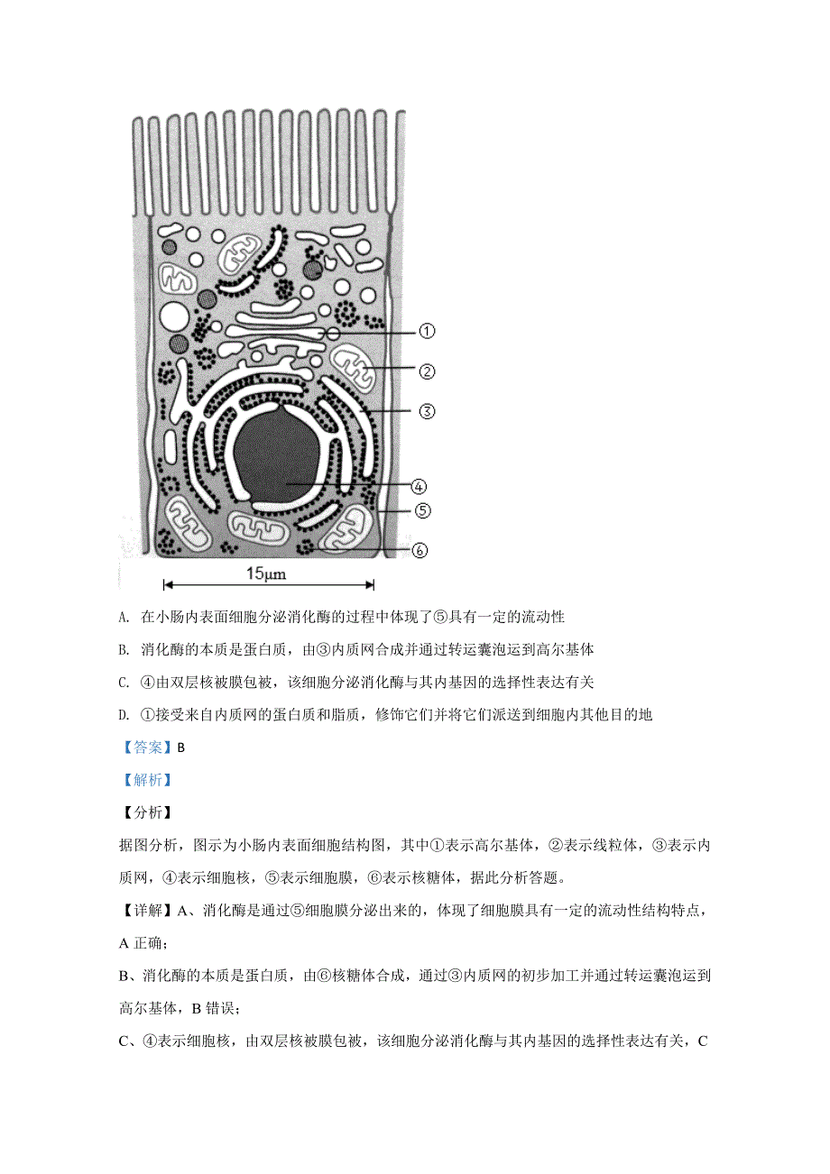 北京市房山区2020届高三衔接诊断生物试题 WORD版含解析.doc_第2页