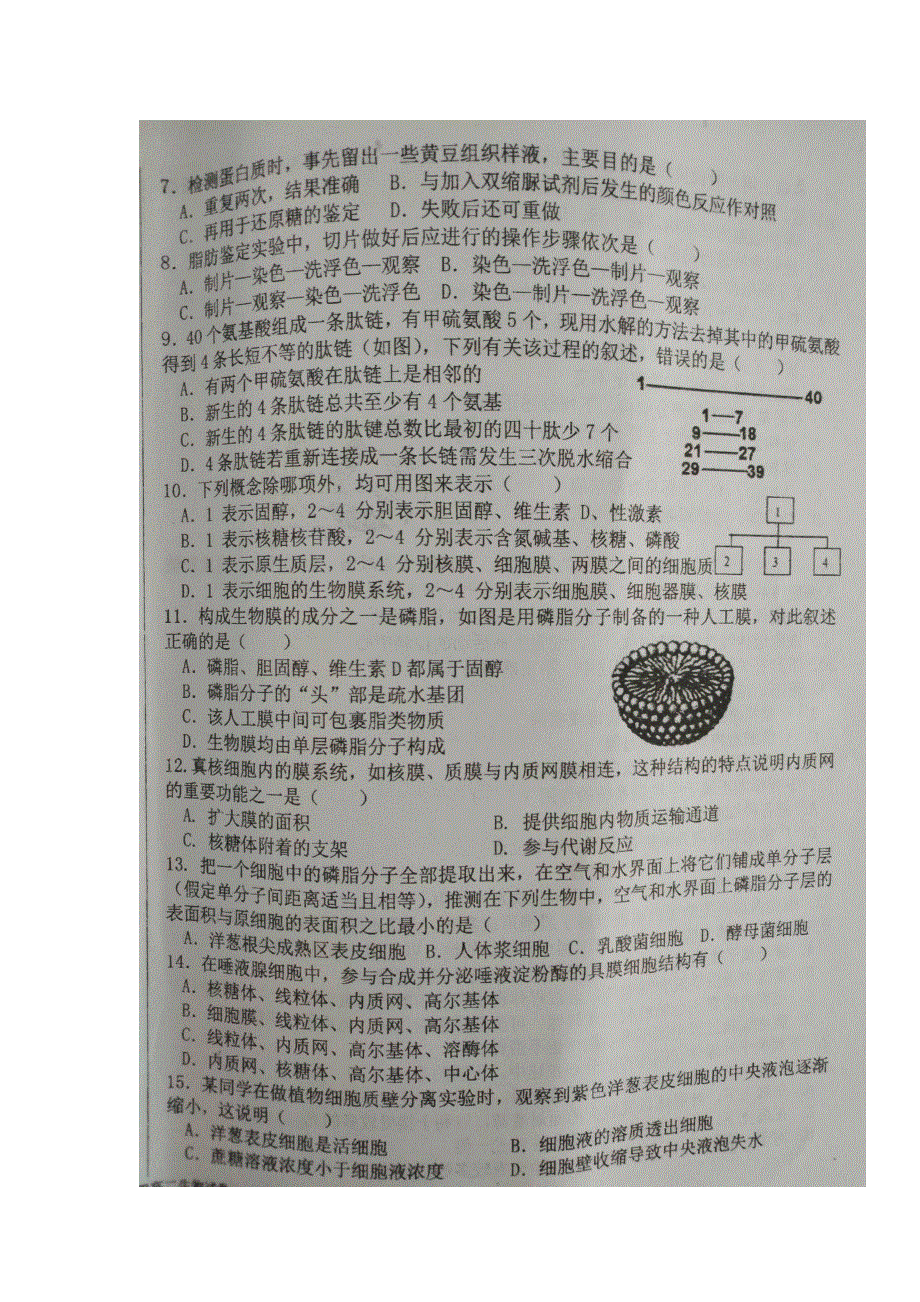 吉林省乾安县第七中学2016-2017学年高二下学期期末考试生物试题 扫描版含答案.doc_第2页