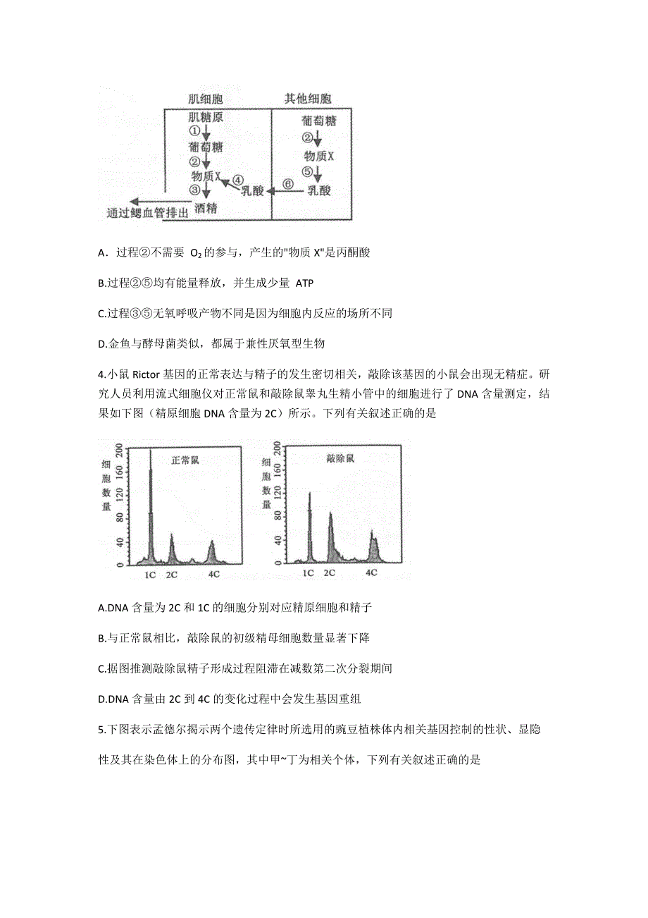 江苏省常熟市2021届高三上学期阶段性抽测二生物试题 WORD版含答案.docx_第2页