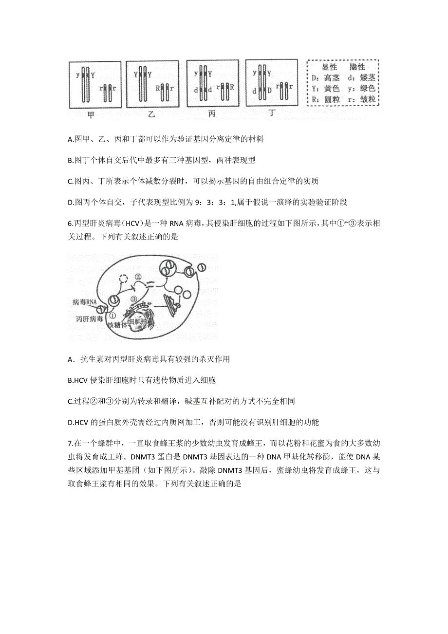 江苏省常熟市2021届高三上学期阶段性抽测二生物试题 WORD版含答案.docx_第3页