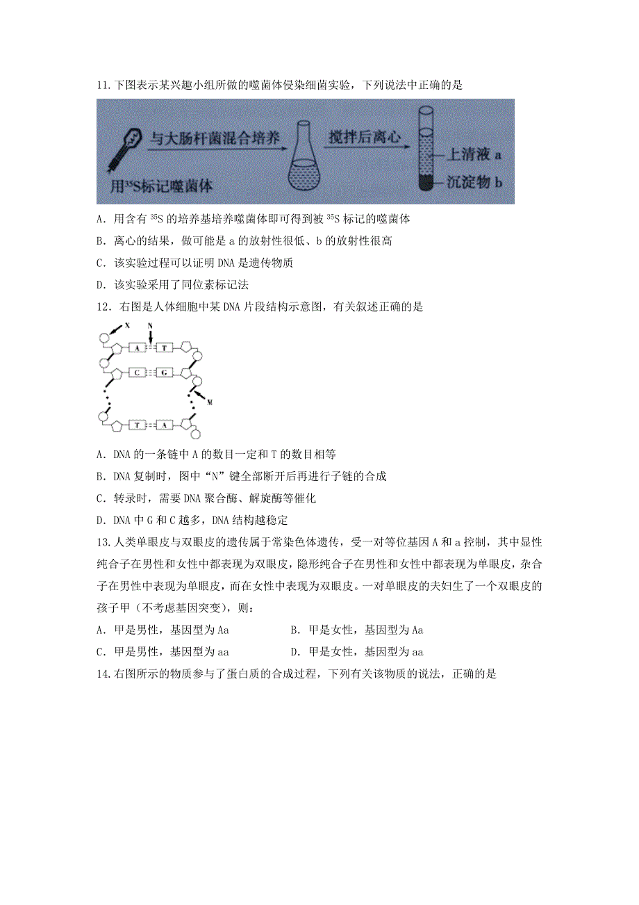 广东省汕头市2015-2016学年高一下学期期末教学质量监测生物试题 WORD版含答案.doc_第3页