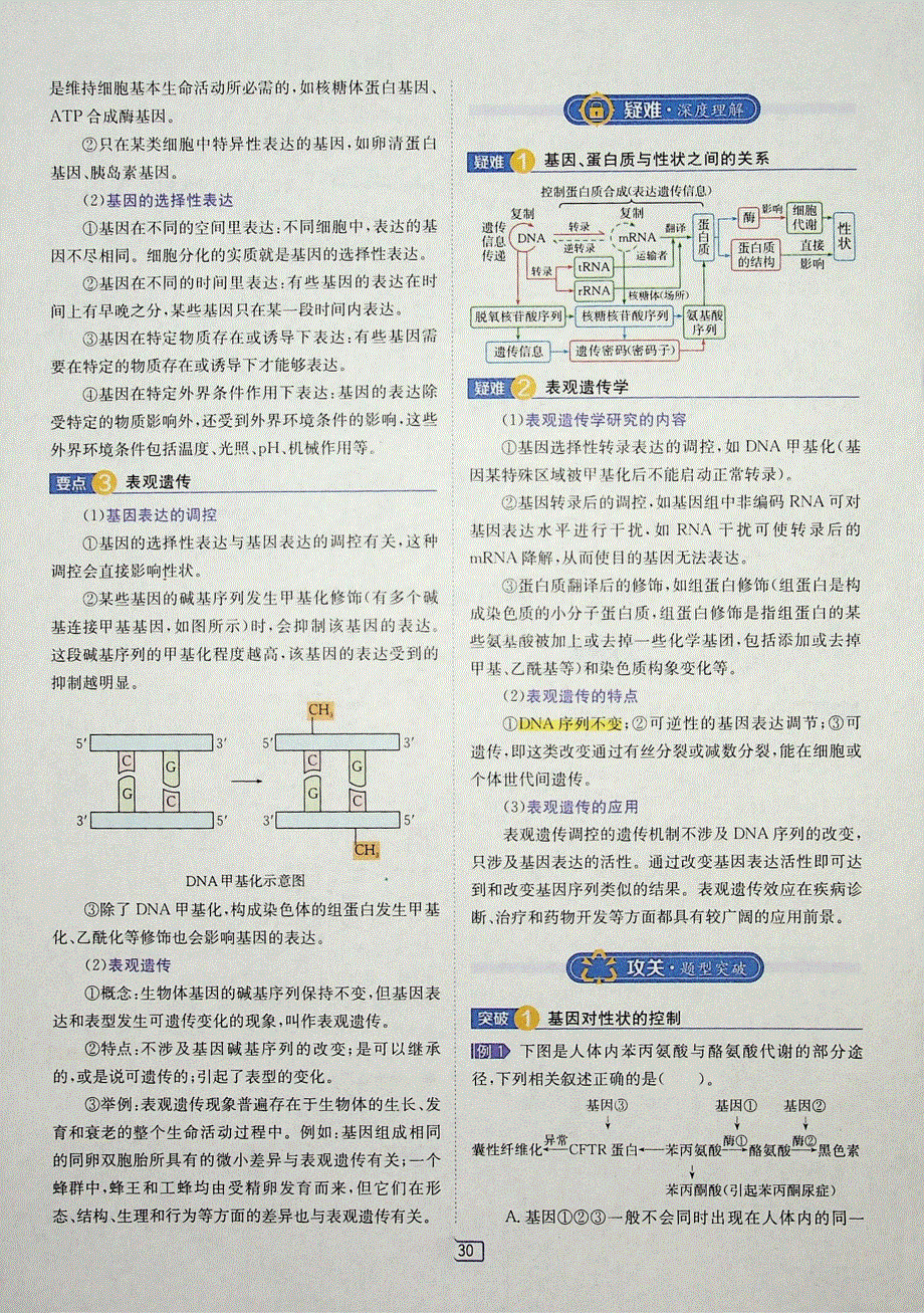 2021年新教材高中生物 第4章 基因的表达 第2节 基因表达与性状的关系试题（含解析）（PDF）新人教版必修2.pdf_第2页