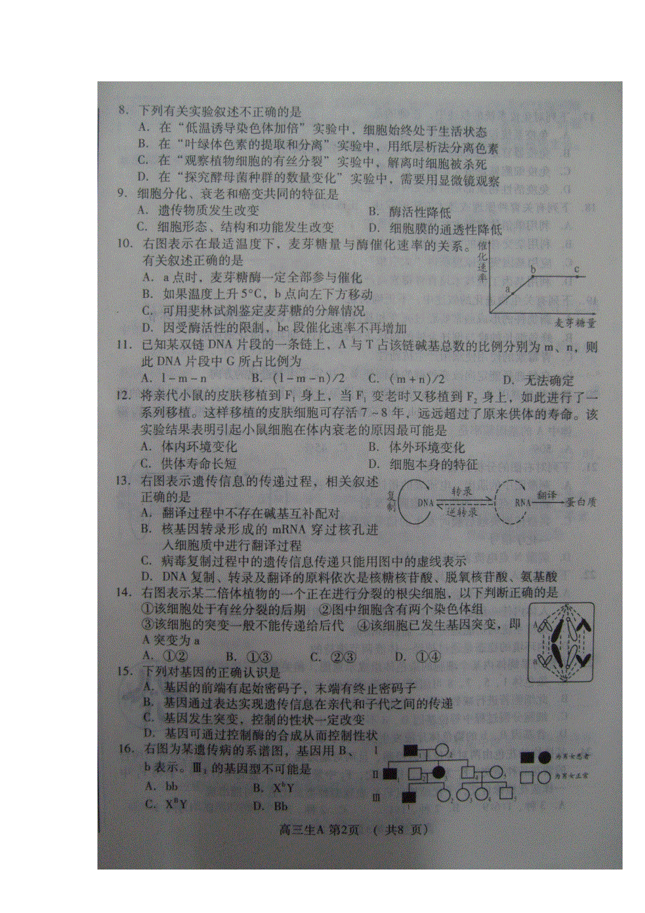 山东省淄博市2013届高三上学期期末考试生物试题 扫描版含答案.doc_第2页