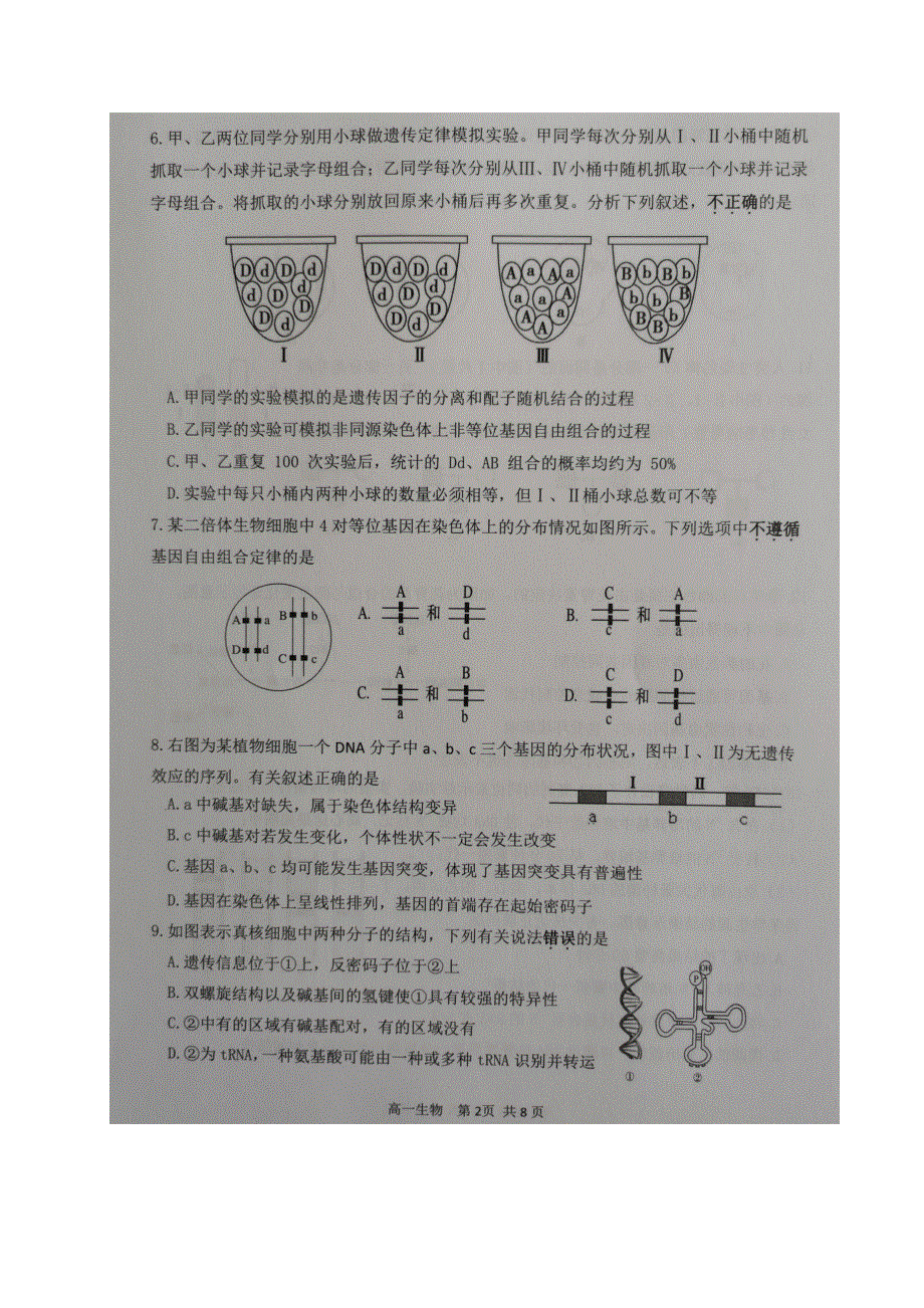 江苏省宿迁市2020-2021学年高一下学期期末考试生物试卷 图片版含答案.docx_第2页