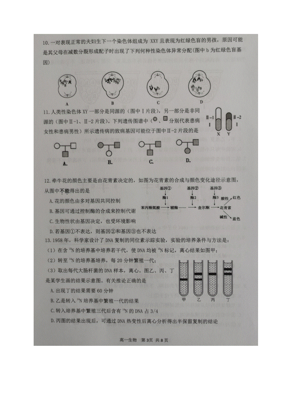 江苏省宿迁市2020-2021学年高一下学期期末考试生物试卷 图片版含答案.docx_第3页