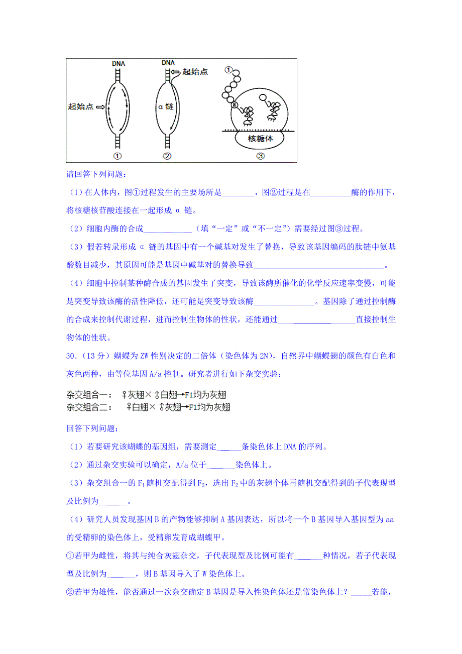 内蒙古巴彦淖尔市一中2016届高三上学期期末考试理综生物试题 WORD版含答案.doc_第3页