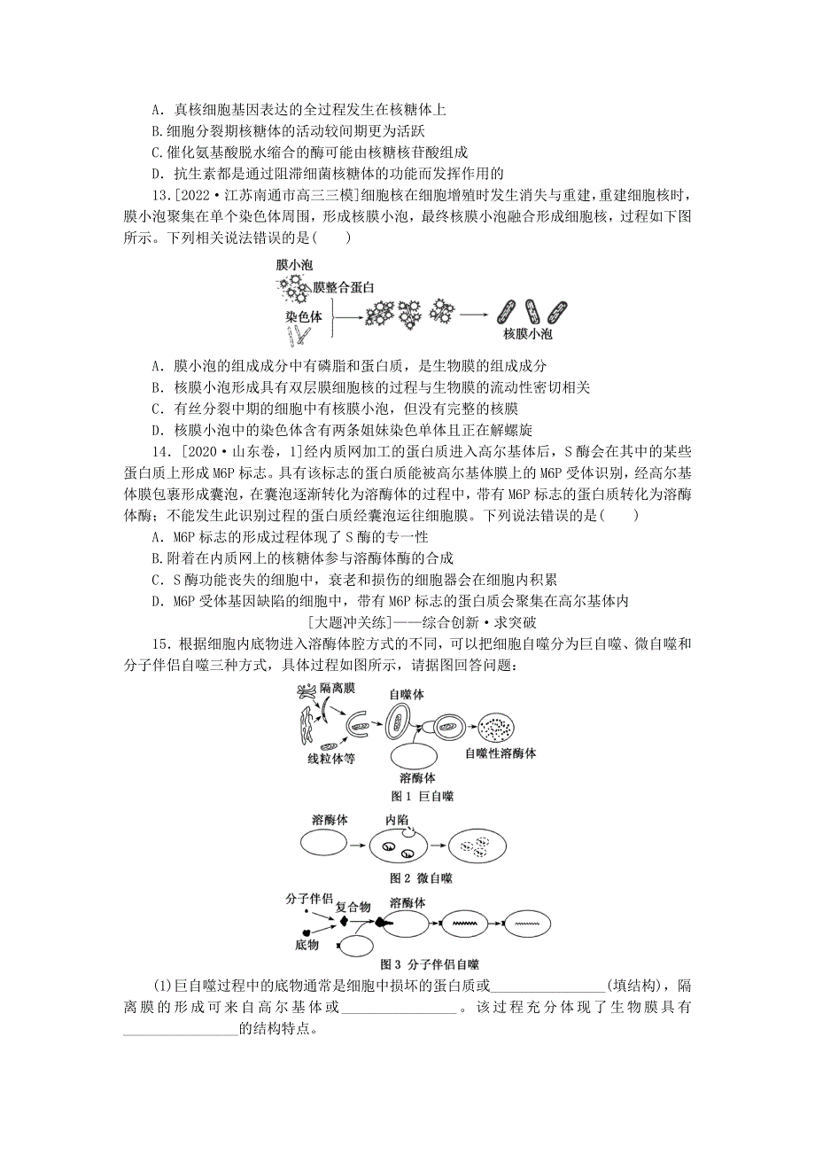 （统考版）2023版高考生物一轮复习 课后定时检测案6 细胞器——系统的分工与合作.docx_第3页