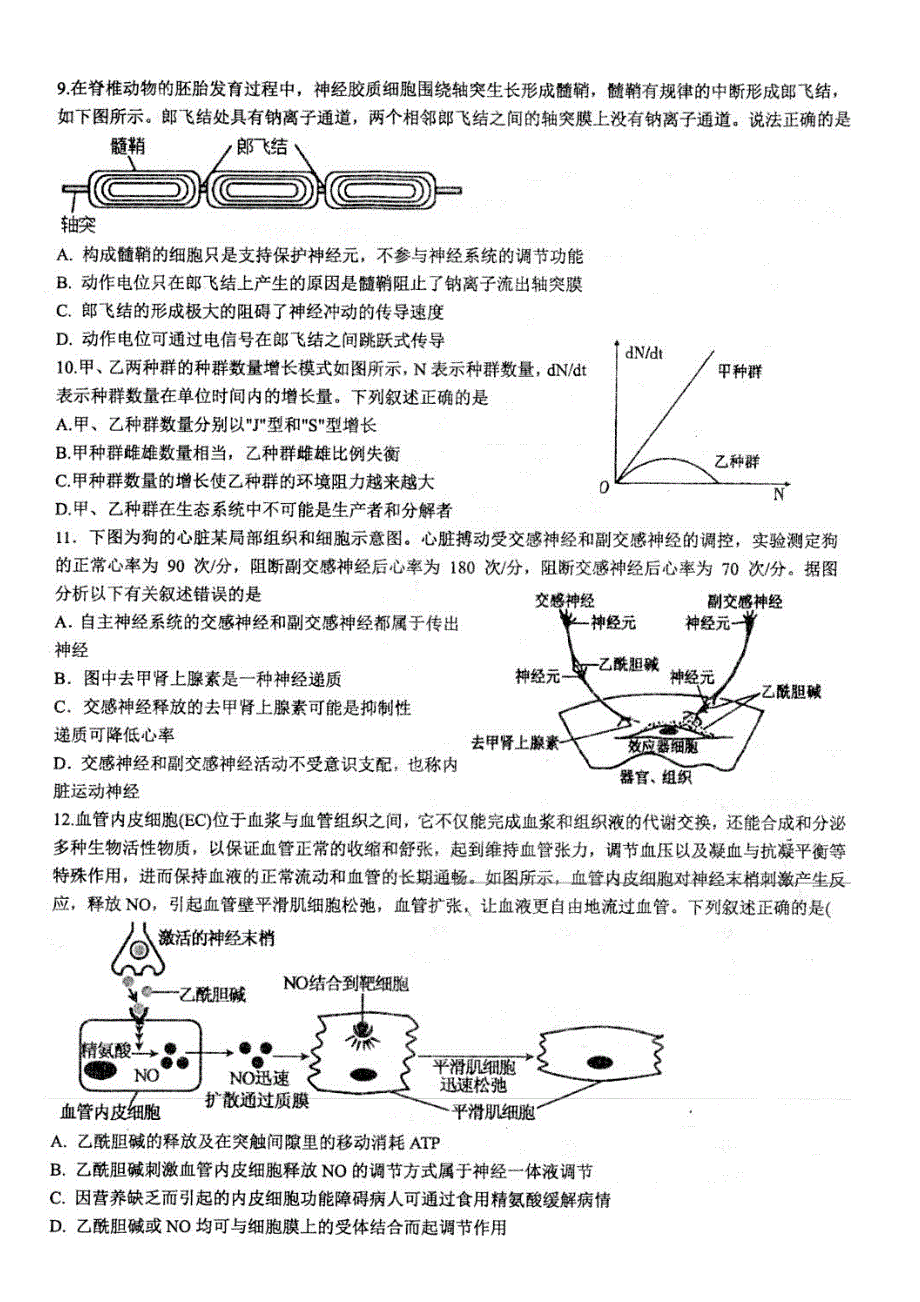 江苏省扬州市高邮市2022-2023学年高二上学期11月期中考试生物试题WORD版含答案.docx_第3页