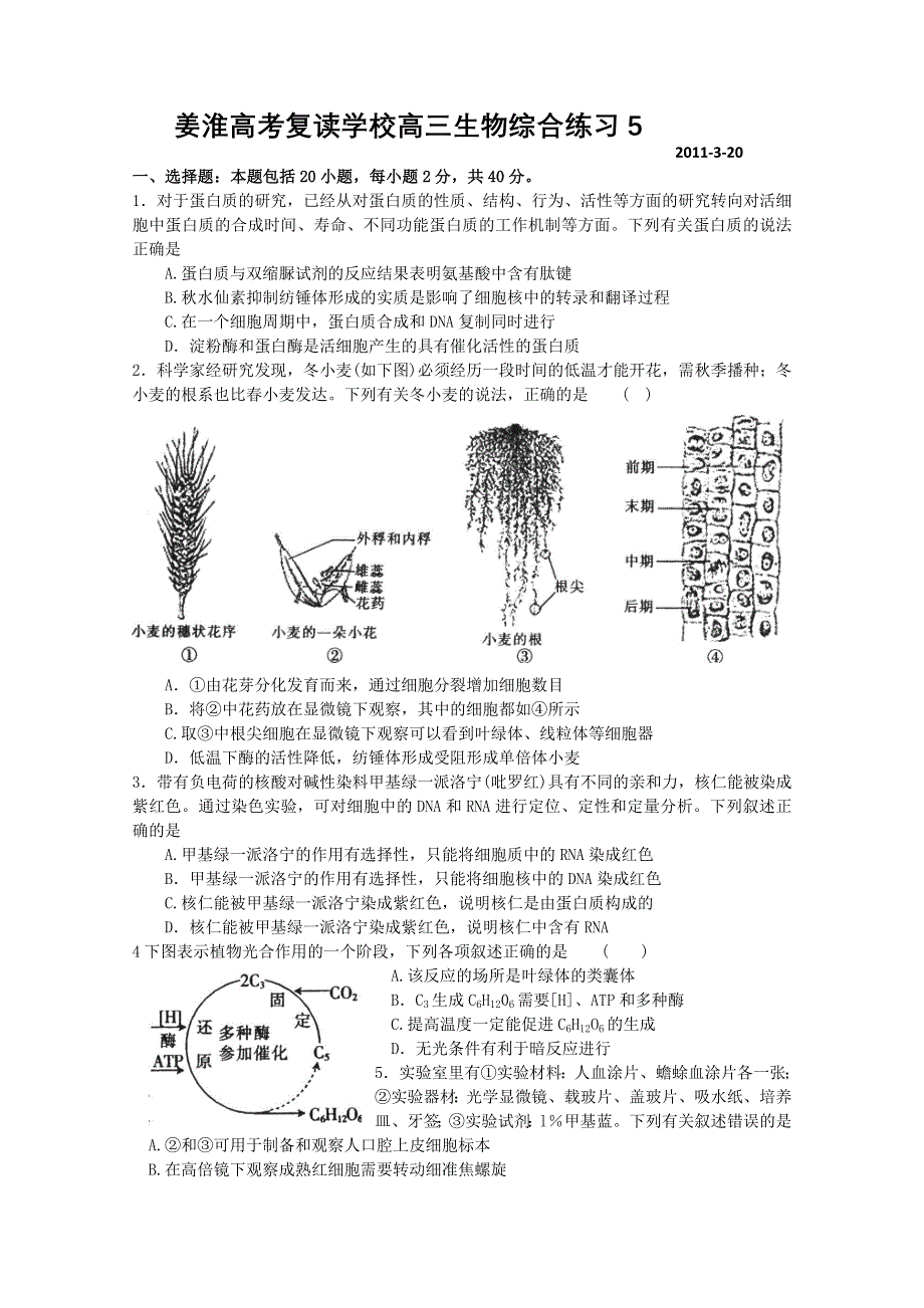 江苏省2011年姜淮高考复读学校高三生物综合练习5.doc_第1页