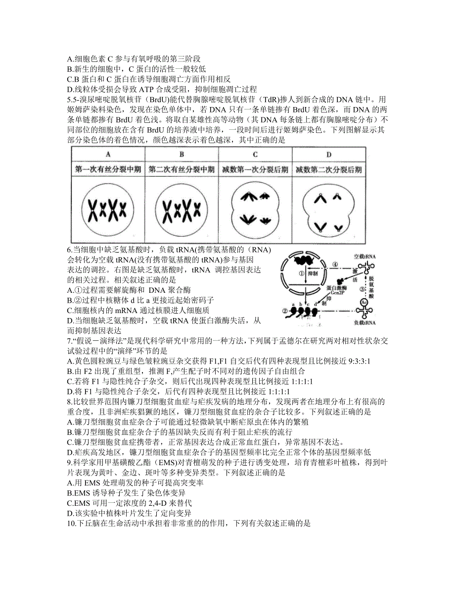 江苏省无锡市2021届高三下学期开学教学质量检测生物试题 WORD版含答案.docx_第2页