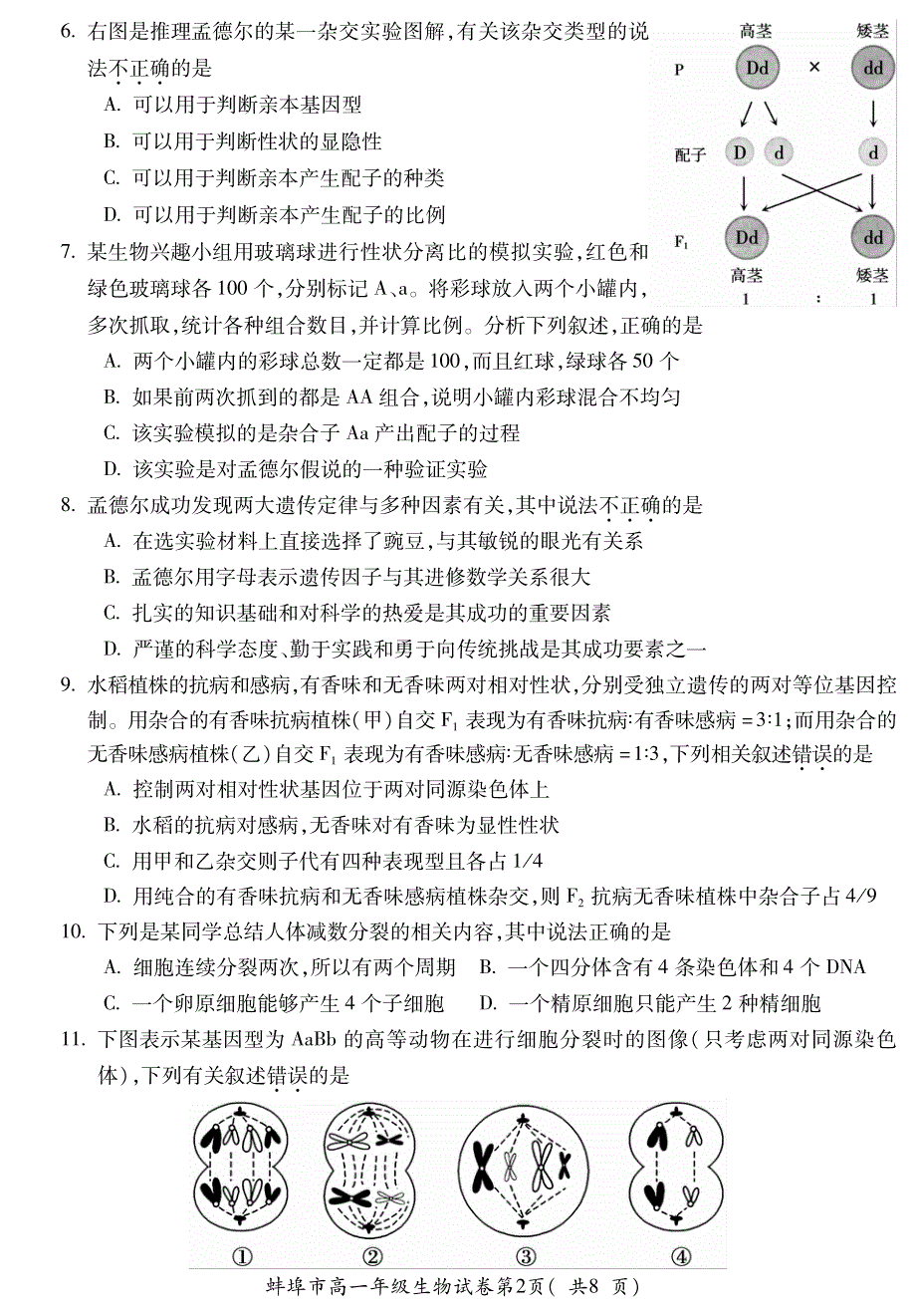 安徽省蚌埠市2020-2021学年高一下学期期末学业水平监测生物试卷 PDF版含答案.pdf_第2页