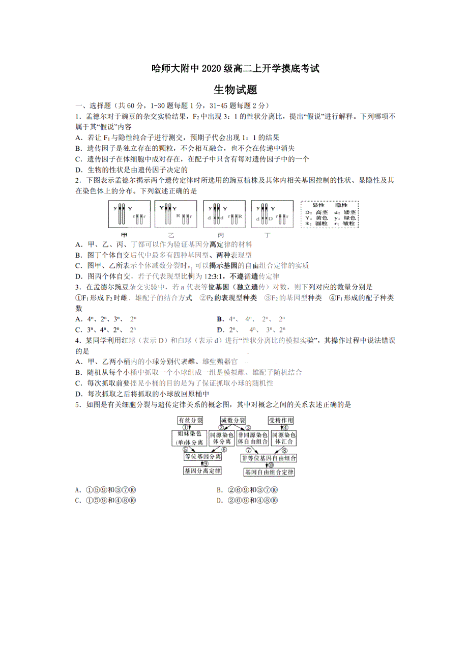 黑龙江省哈尔滨师范大学附属中学2021-2022学年高二上学期开学考试生物试题 PDF版含答案.pdf_第1页