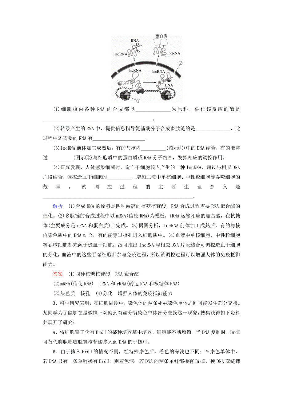 2020高考生物 增分集训练3 遗传物质的分子基础及应用（含解析）.doc_第2页