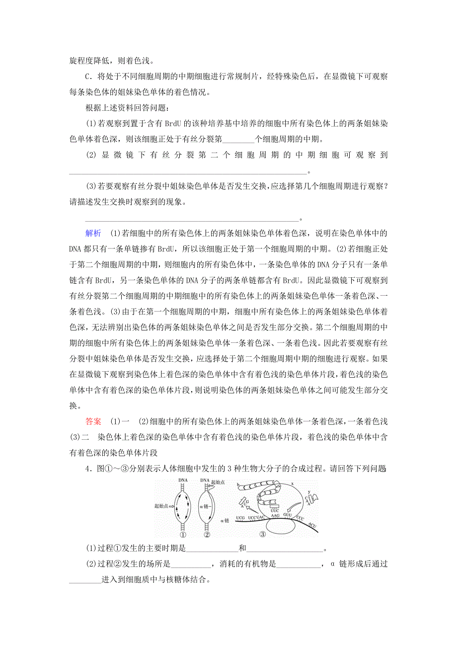 2020高考生物 增分集训练3 遗传物质的分子基础及应用（含解析）.doc_第3页