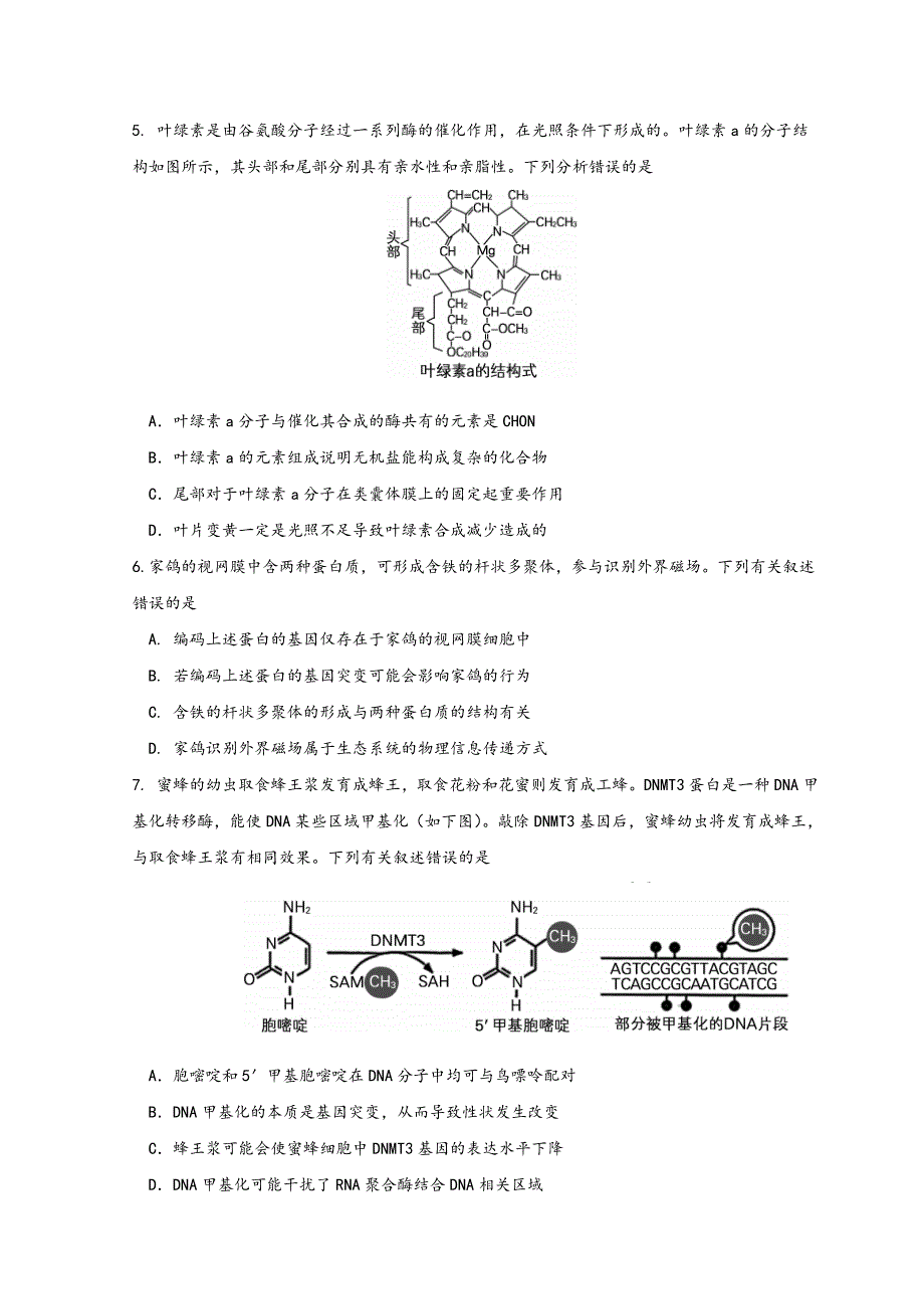 北京市朝阳区2022届高三下学期一模考试生物试题 WORD版含答案.doc_第2页