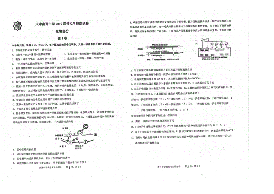 天津南开中学2019届高三模拟考生物试题 PDF版含答案.pdf_第1页